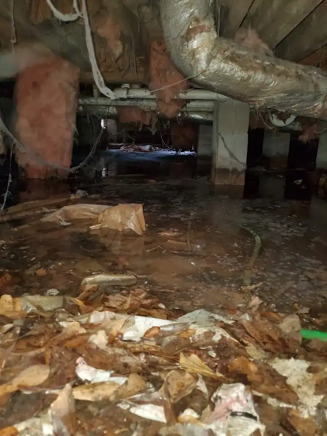 Crawl space flood assessment for Leak Detection & Repair in Waxhaw
